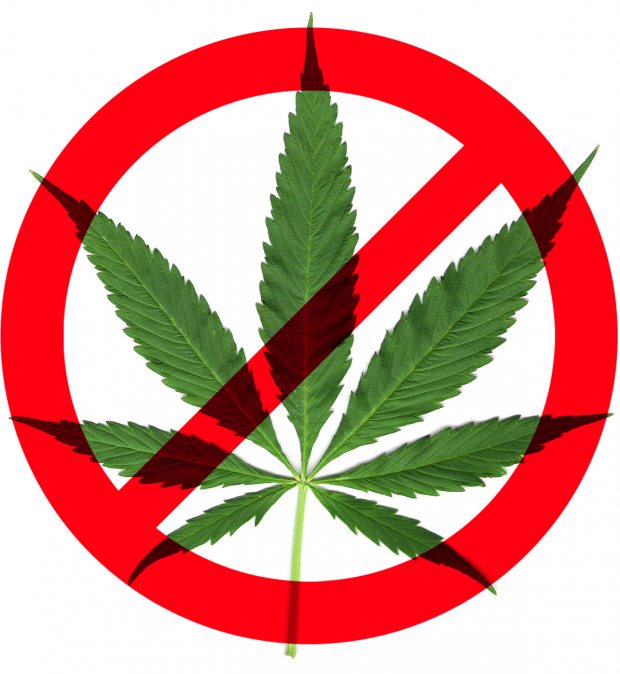 Should we legalize marijuana essay